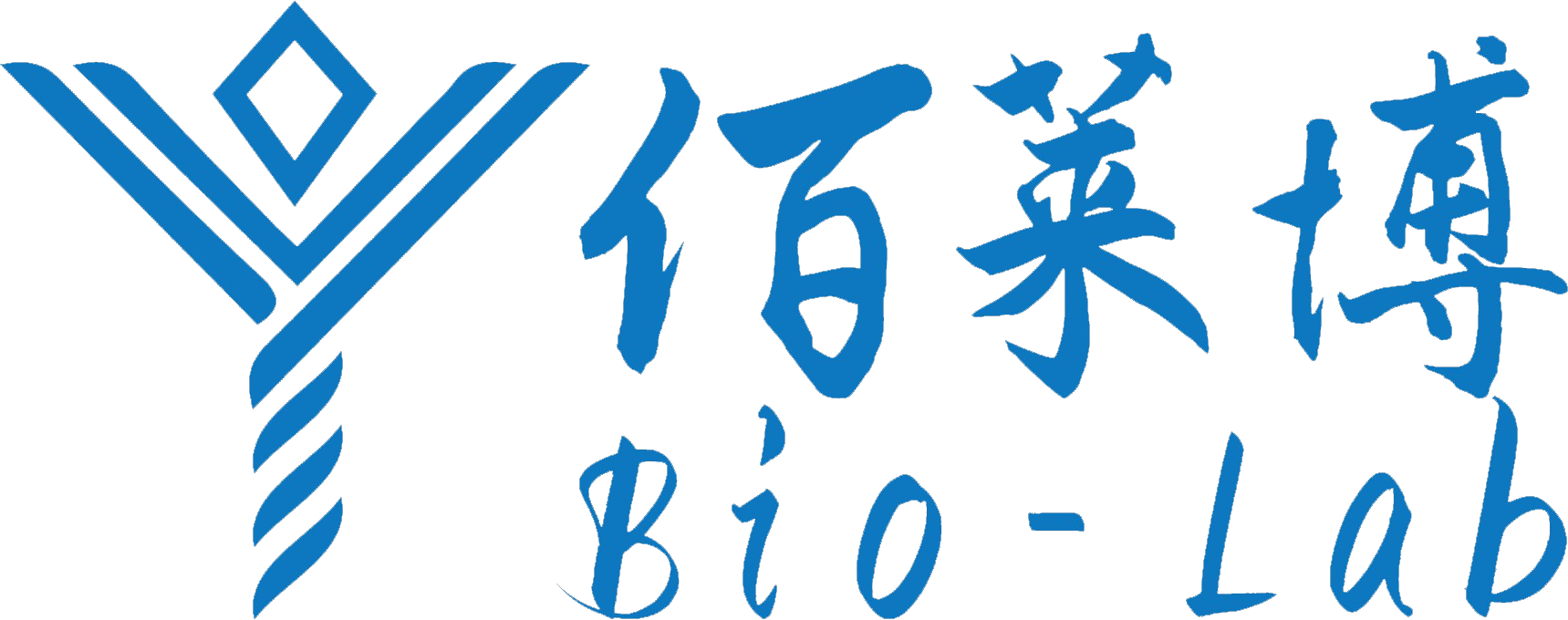 某某网络科技有限公司