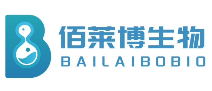 某某网络科技有限公司